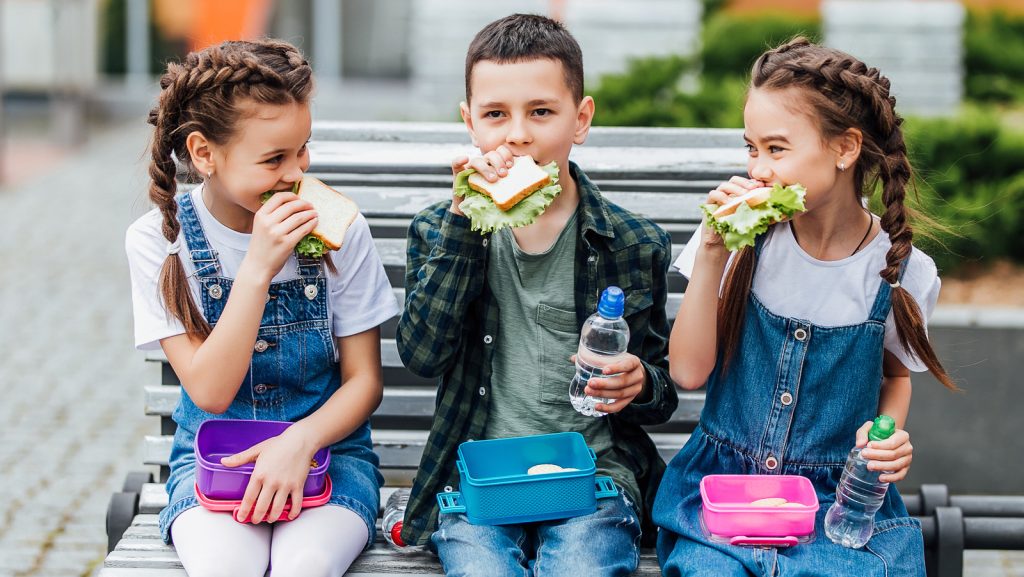 Kindergarten Lunch Box Size, Explained